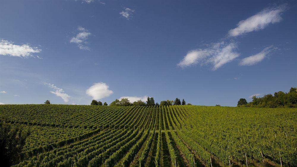Hotel Stupnicki Dvori Winery 3*