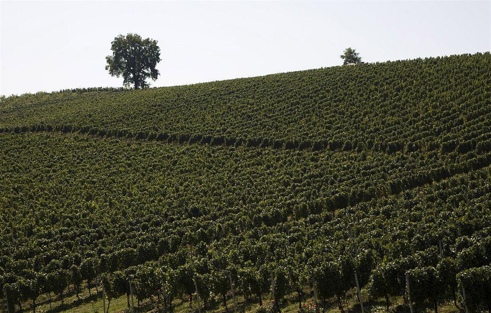 Stupnicki Dvori Winery